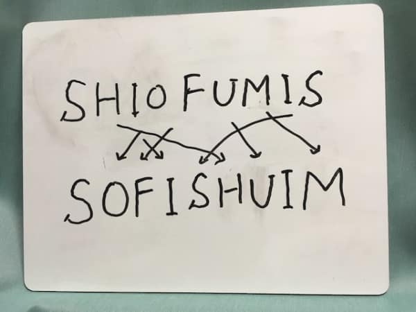 anagram-sofi-shuim